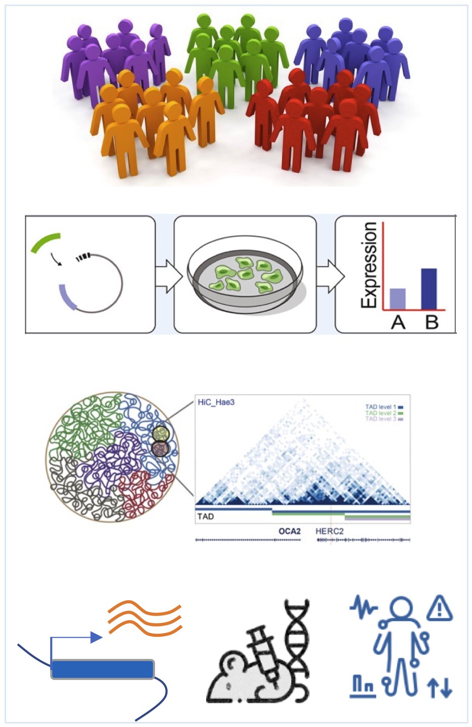 Genetic Research Illustration